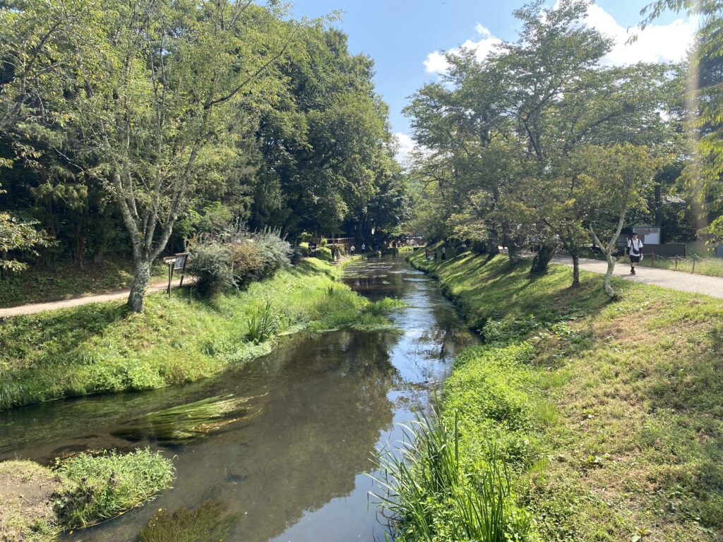 山梨県旅行